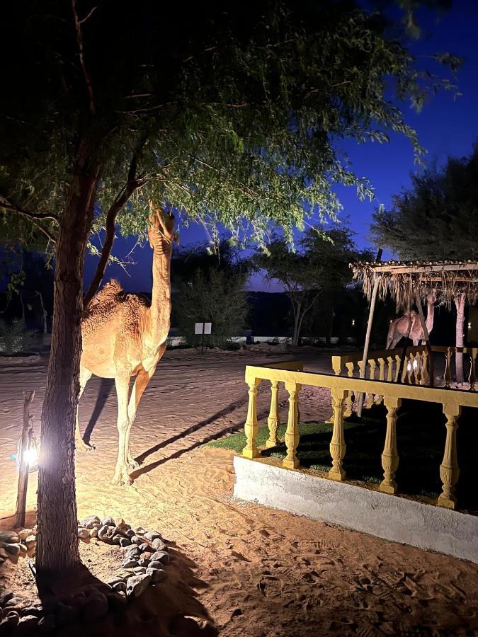 Hotel Golden Palm Oasis Fulayj al Masha'ikh Exteriér fotografie