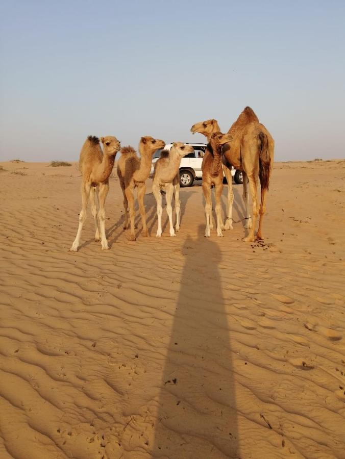 Hotel Golden Palm Oasis Fulayj al Masha'ikh Exteriér fotografie