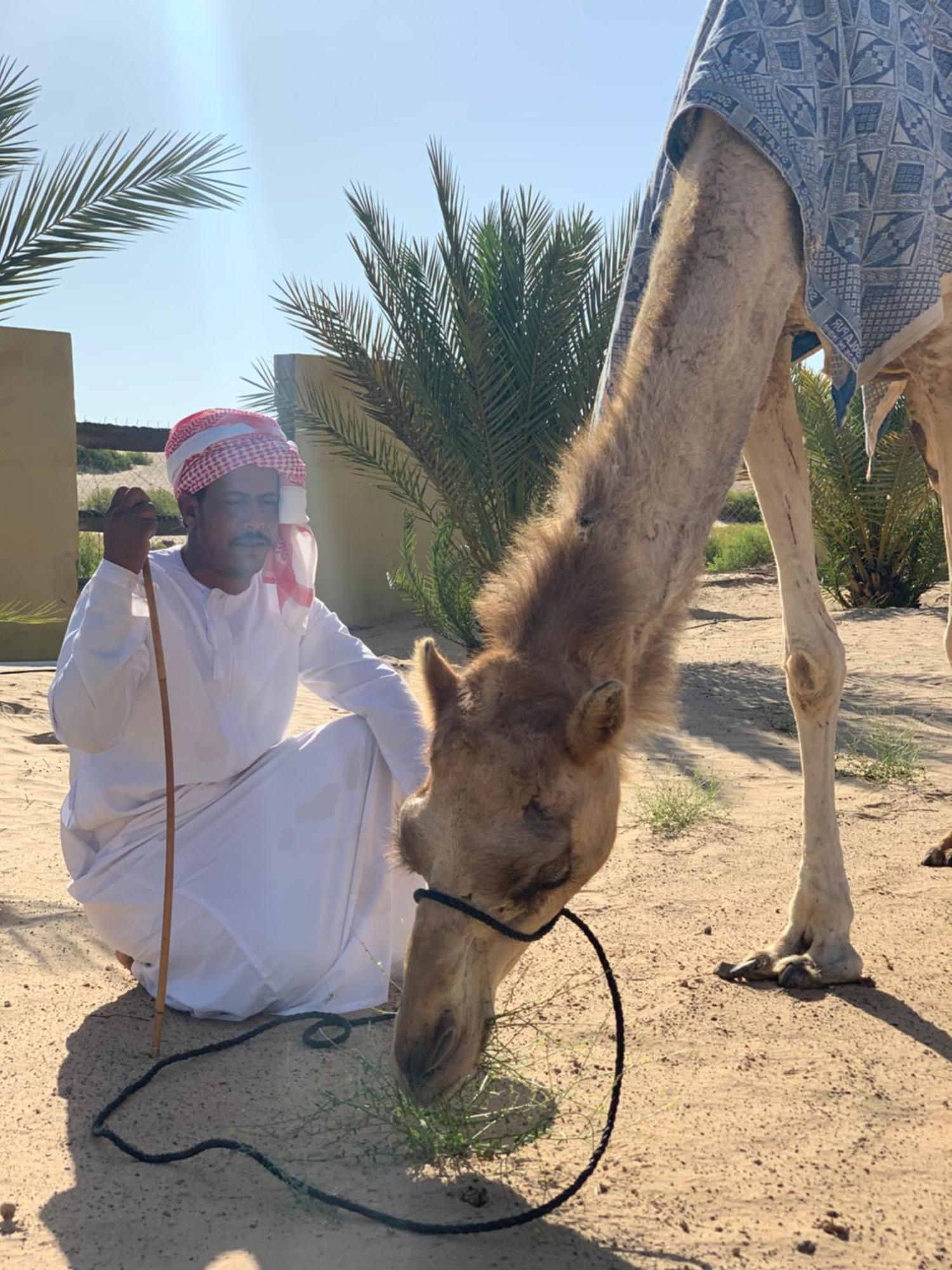 Hotel Golden Palm Oasis Fulayj al Masha'ikh Exteriér fotografie