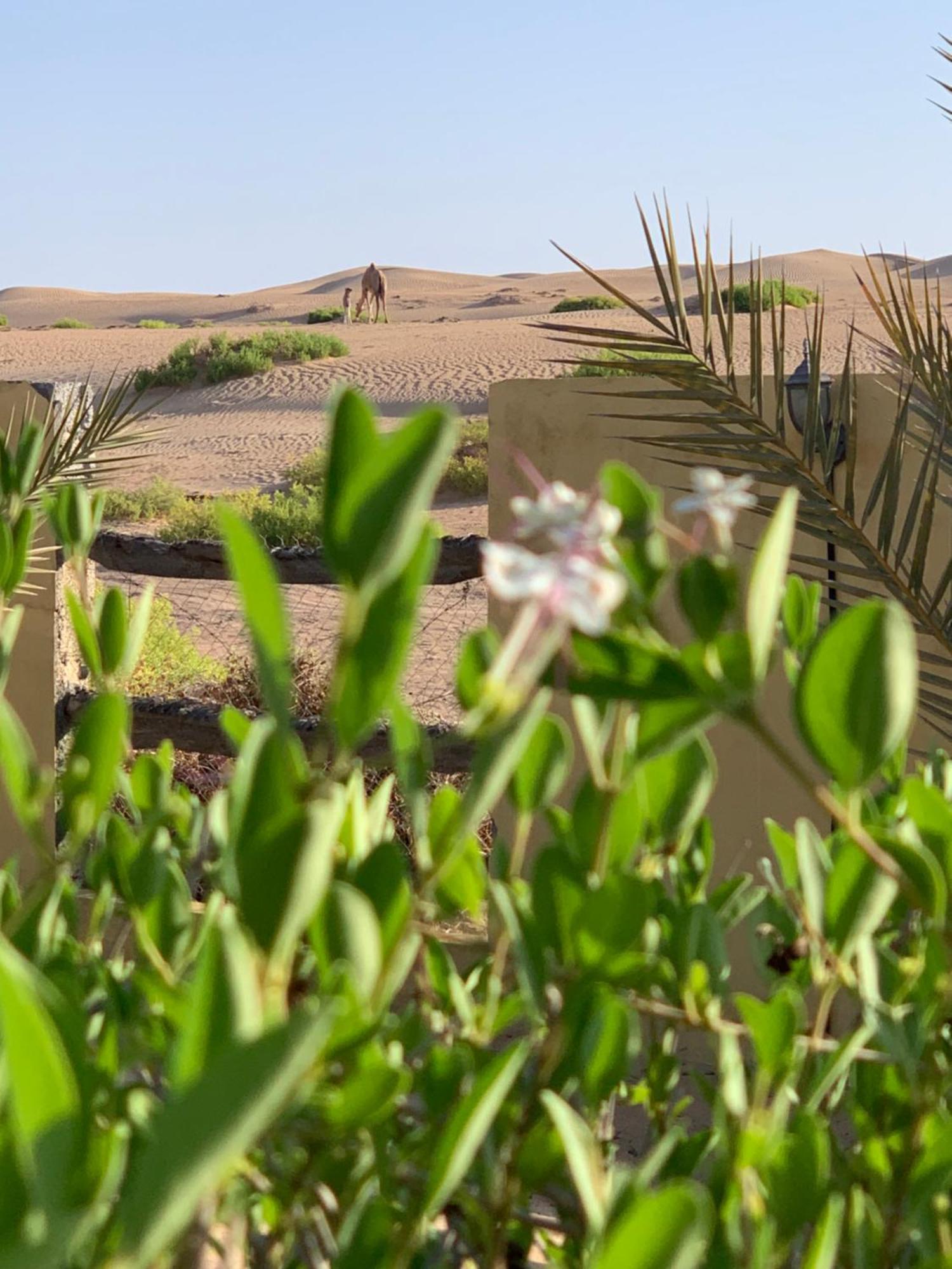 Hotel Golden Palm Oasis Fulayj al Masha'ikh Exteriér fotografie